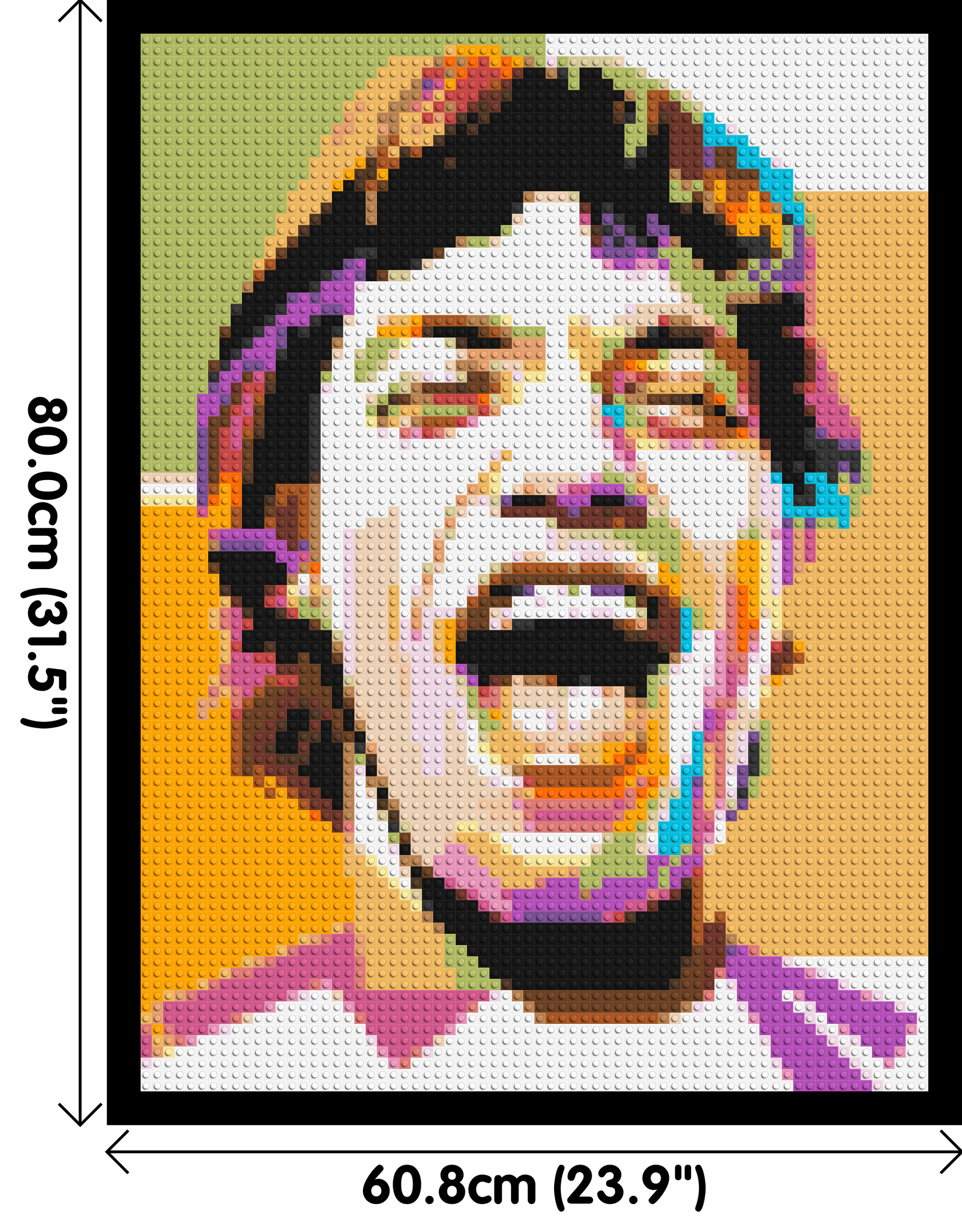 Mick Jagger - Brick Art Mosaic Kit 3x4 dimensions with frame