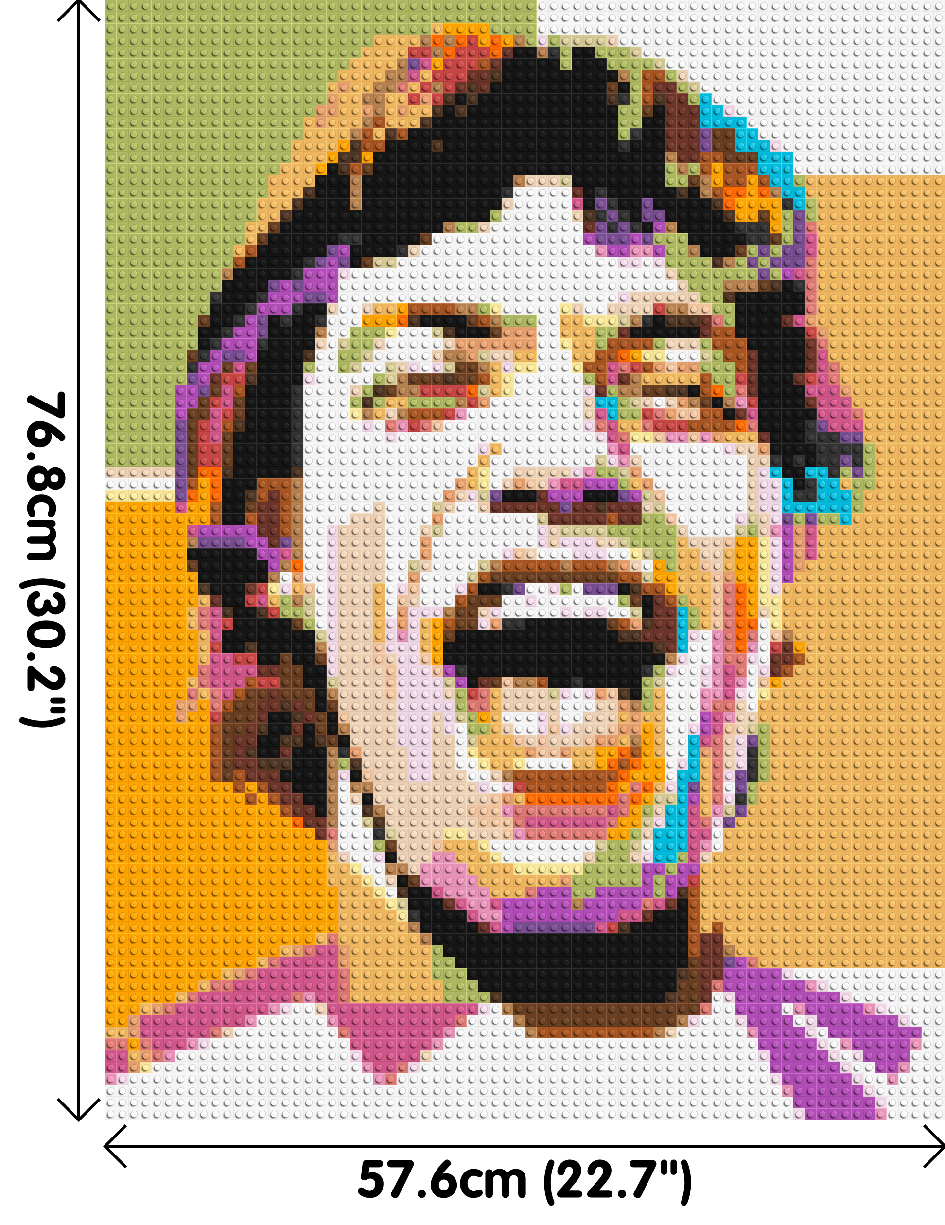 Mick Jagger - Brick Art Mosaic Kit 3x4 dimensions