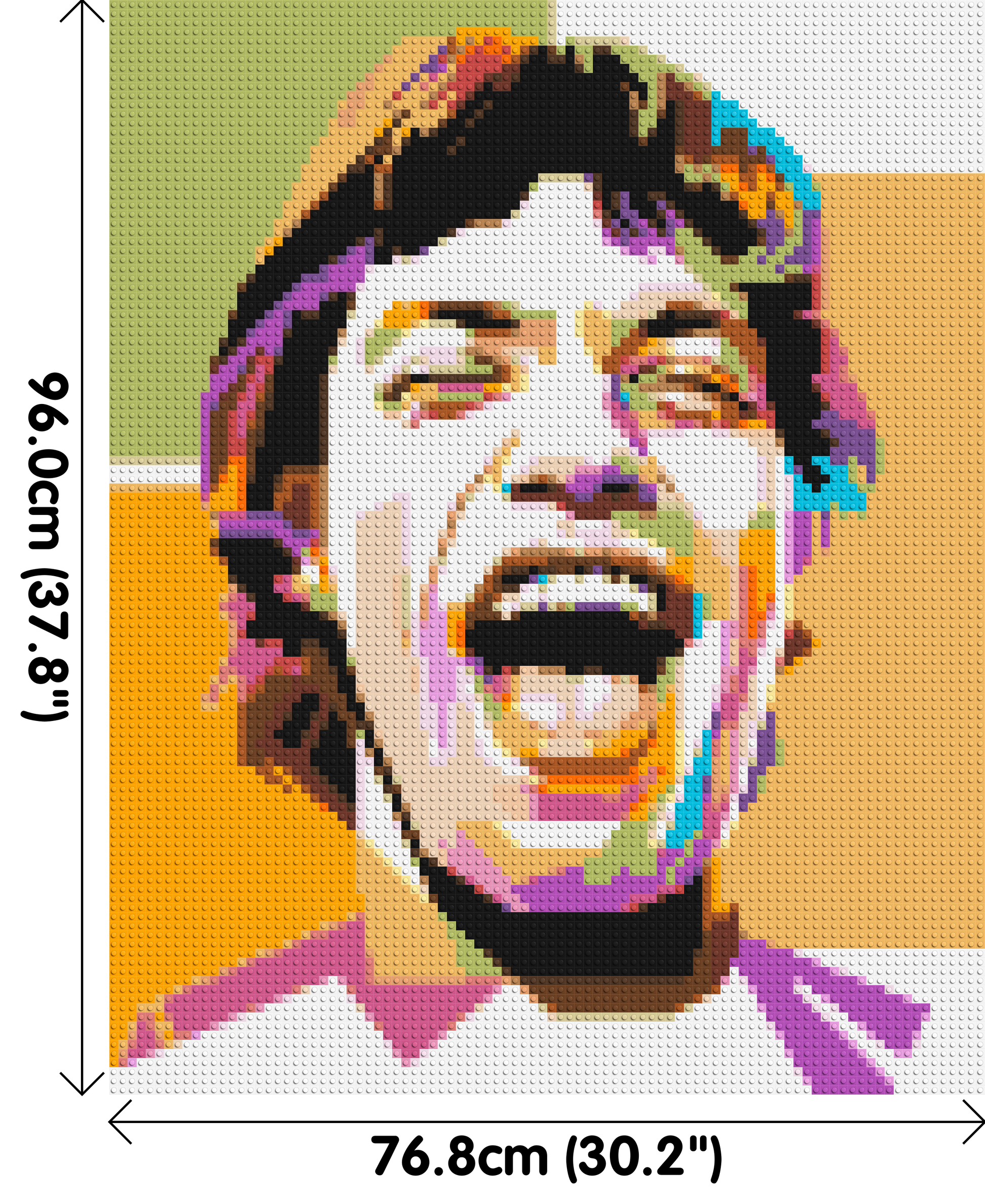 Mick Jagger - Brick Art Mosaic Kit 4x5 dimensions