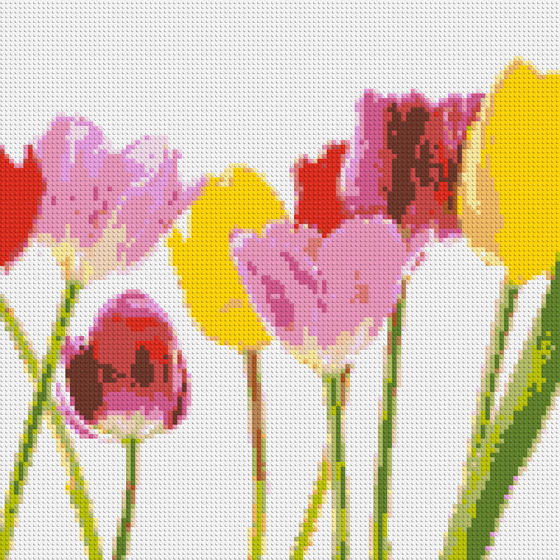 Colourful Tulips - Brick Art Mosaic Kit 5x5 large